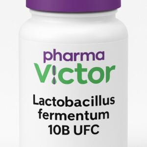 LACTOBACILLUS FERMENTUM 10Bi/UFC 30 Capsulas